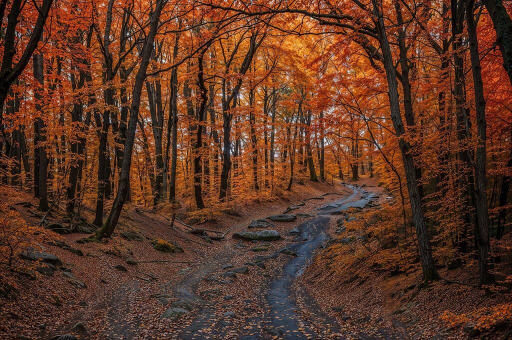 良縁祈願に最適な神社は大分でどこ？