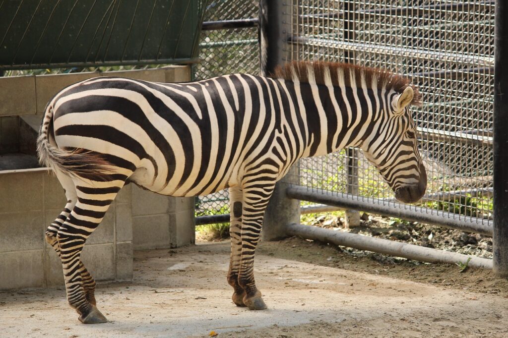 福岡の神社で楽しむデートにおすすめの穴場スポットは？