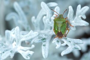 御朱印で恋愛成就を目指す時の失敗を避ける方法は？