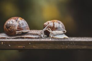 御朱印は予約必要？行く前に知っておきたいポイントとは？