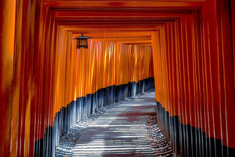 御朱印をもらえる近くの神社はどこにある？